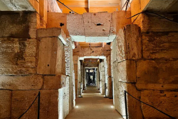 VIP Colosseum Tour - Image 8